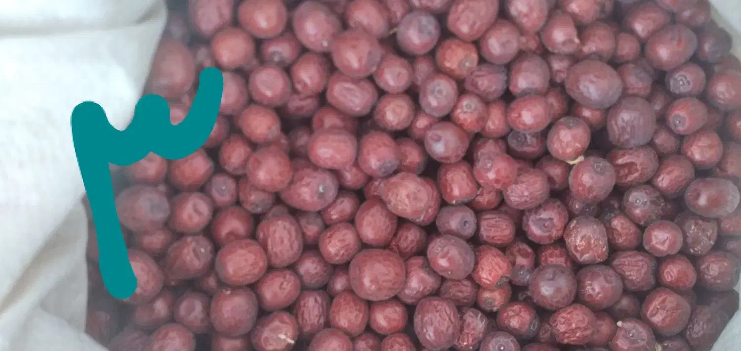 عناب برداشت امسال سالم|خوردنی و آشامیدنی|خوسف, |دیوار