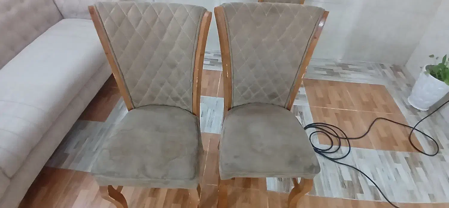 مبلشویی نور . اهرم،بوشهر،خورموج،عالیشهر|خدمات نظافت|اهرم, |دیوار