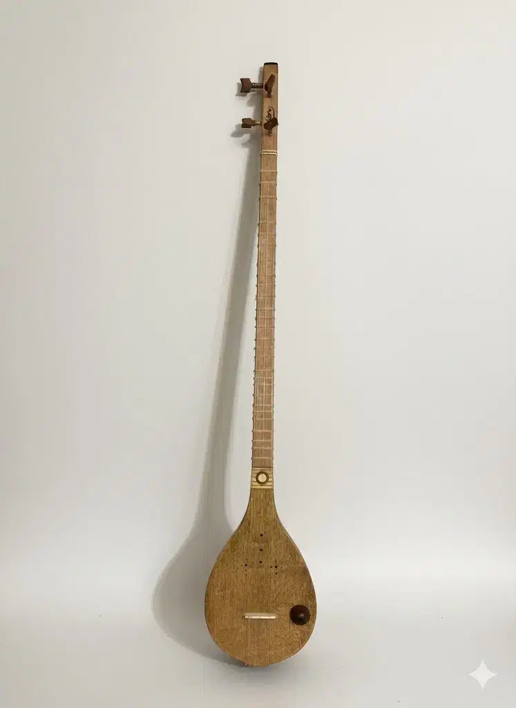 سه تار ویژه هامون مدل الکترو آکوستیک|سازهای سنتی|تهران, جمهوری|دیوار