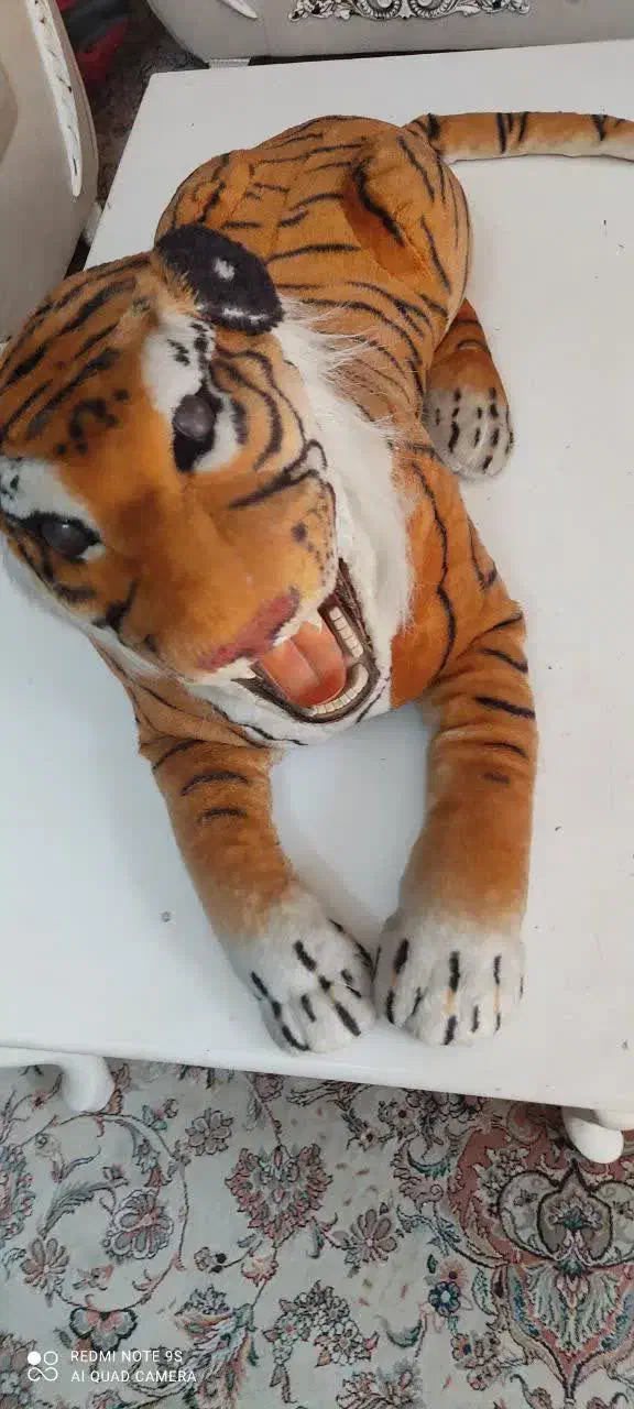 عروسک|اسباب‌‌بازی|شیراز, شهرک والفجر|دیوار