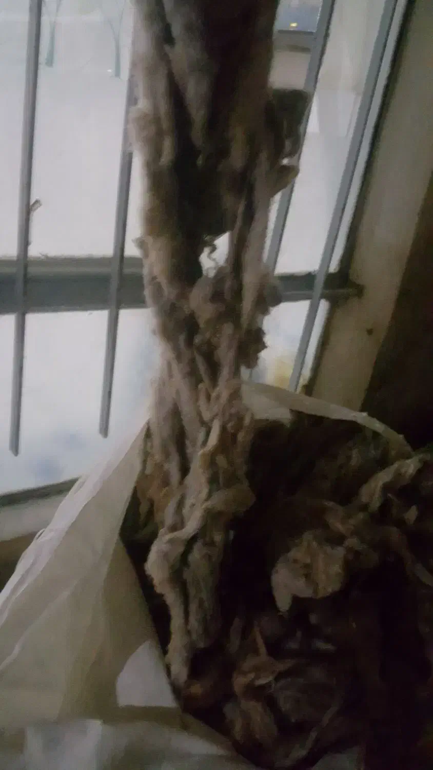 پشم گوسفند ۱۵الی ۲۰کیلو|رختخواب، بالش، پتو|ارومیه, |دیوار