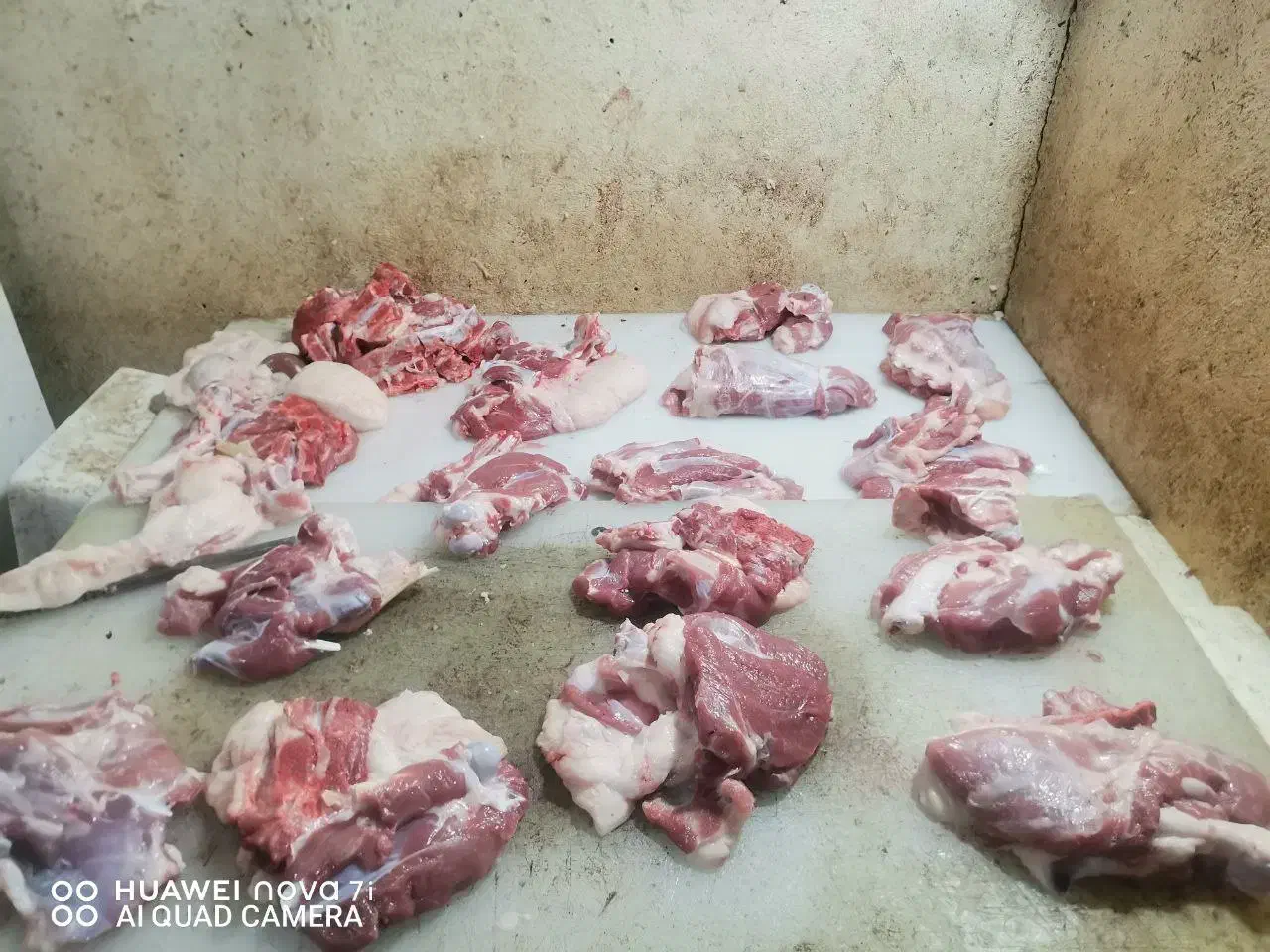 گوشت تازه،مستقیم از دامداری با خدمات کامل|خوردنی و آشامیدنی|قم, بیانی|دیوار