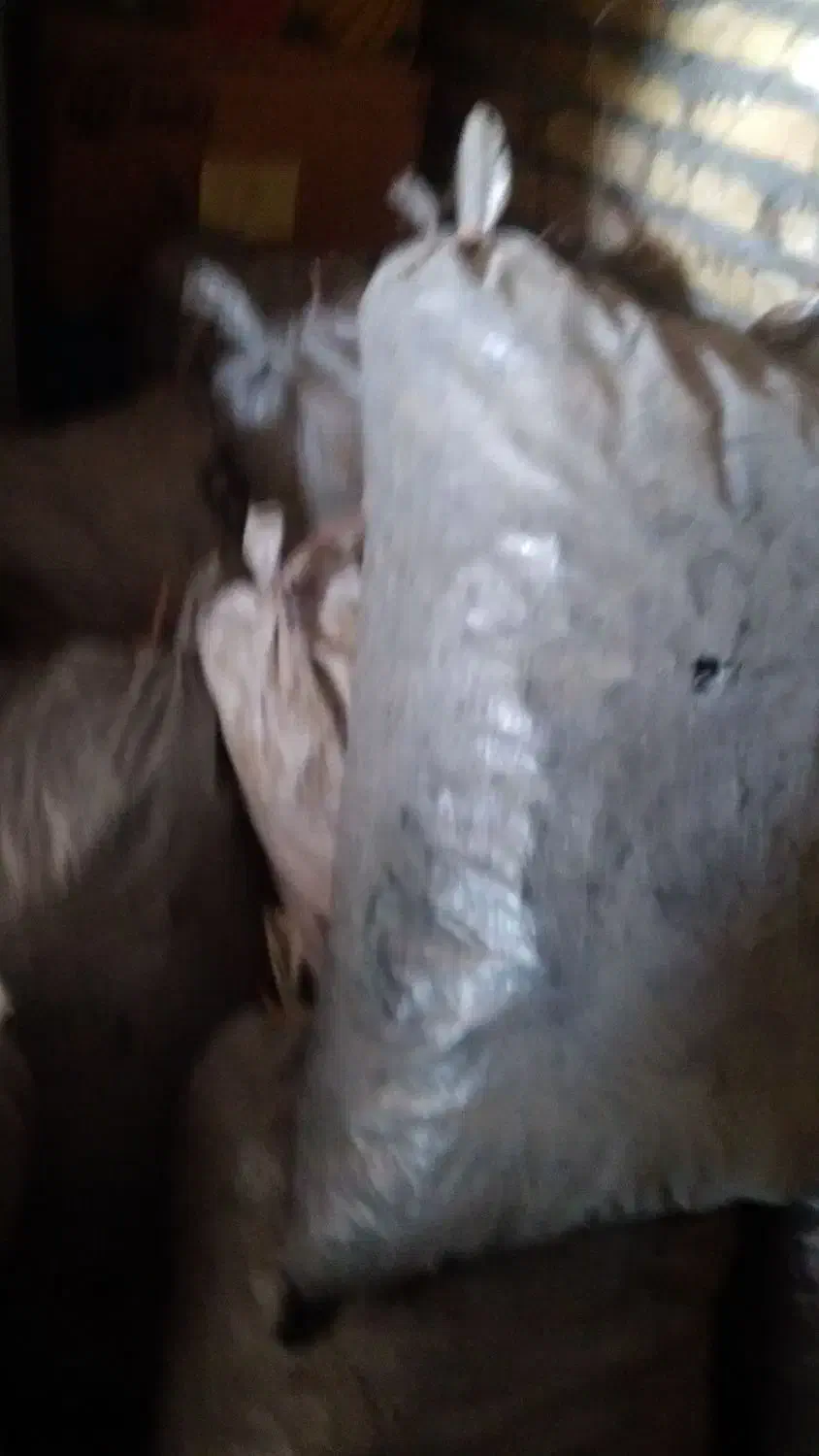 زغال|کوهنوردی و کمپینگ|نورآباد, |دیوار