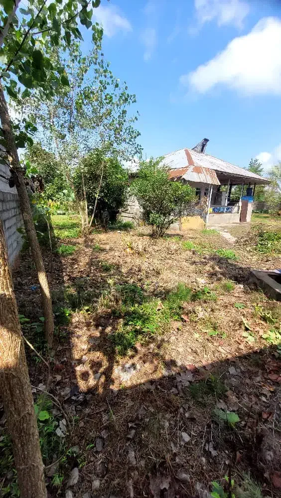 خانه قدیمی ۱۲۰۰ متری قابل تفکیک|فروش زمین و ملک کلنگی|خشکبیجار, |دیوار