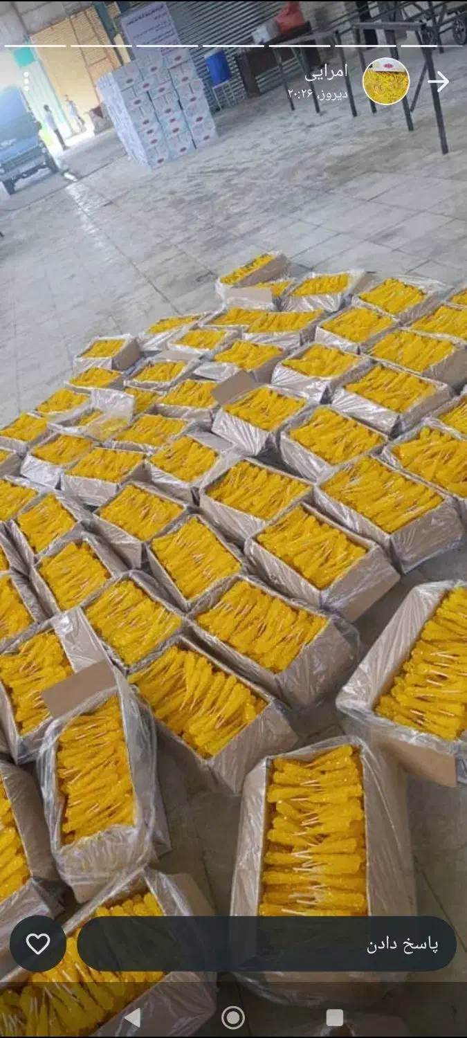 استخدام نیروی کار|استخدام صنعتی، فنی، مهندسی|مرند, |دیوار