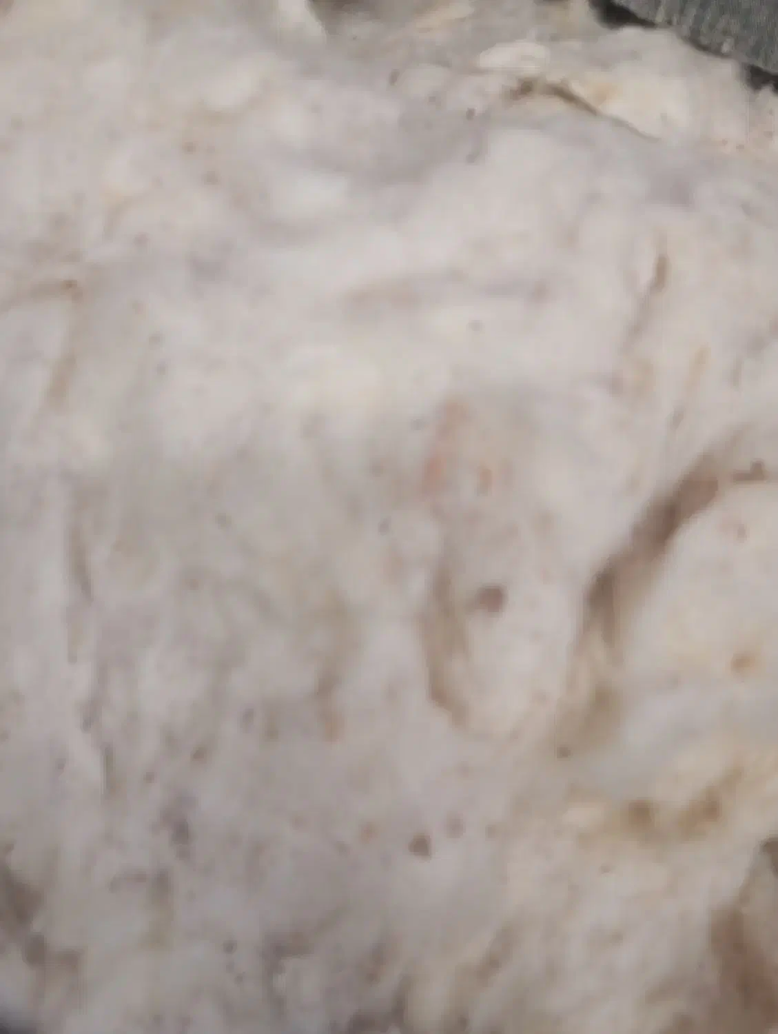 فروش پنبه طبیعی|رختخواب، بالش، پتو|بیرجند, |دیوار