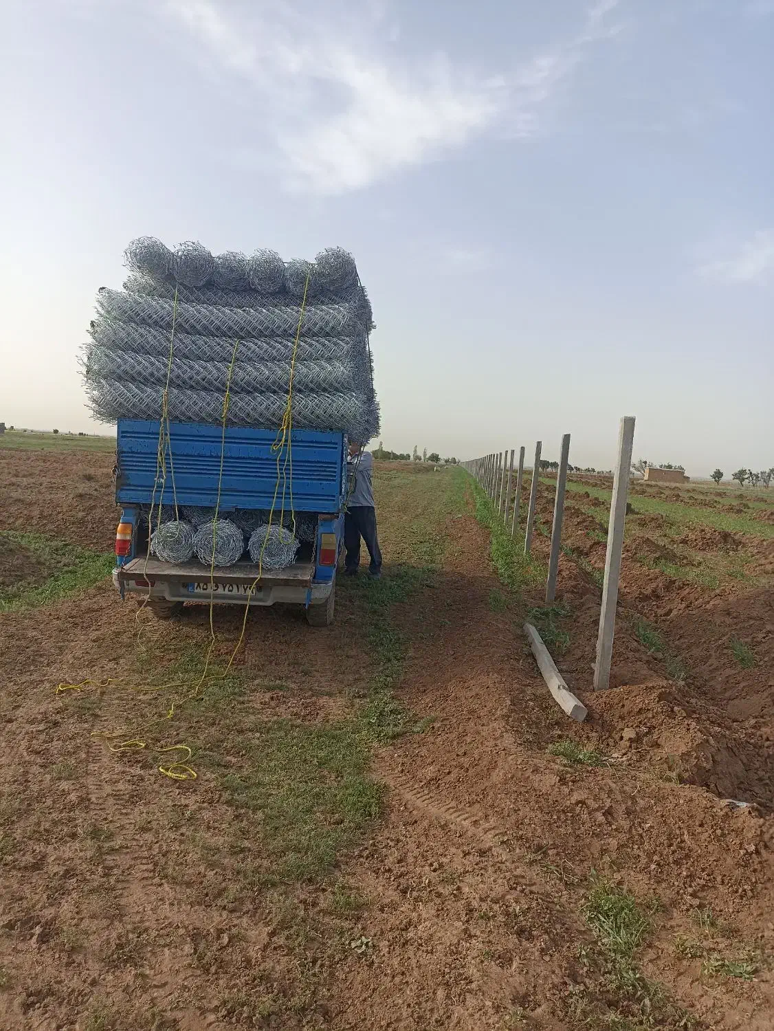 فنسکشی تیرچه پایه داربستی باغ|عمدهفروشی|تاکستان, |دیوار