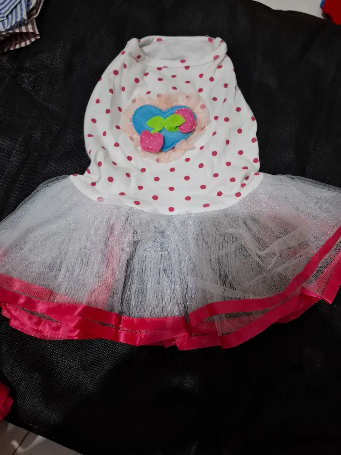 وسایل مورد نیاز فرشته هاتون زیر قیمت|لوازم جانبی حیوانات|رشت, کاکتوس|دیوار