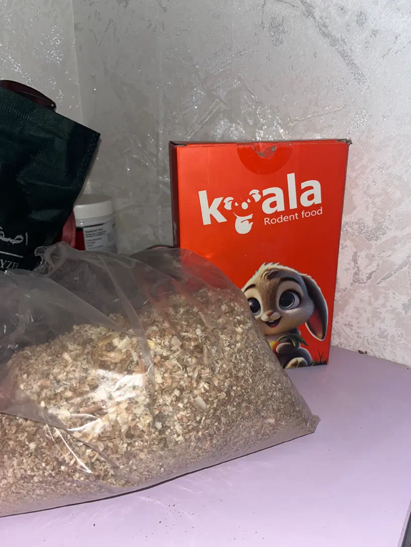 همستر|موش و خرگوش|اصفهان, مفتح|دیوار