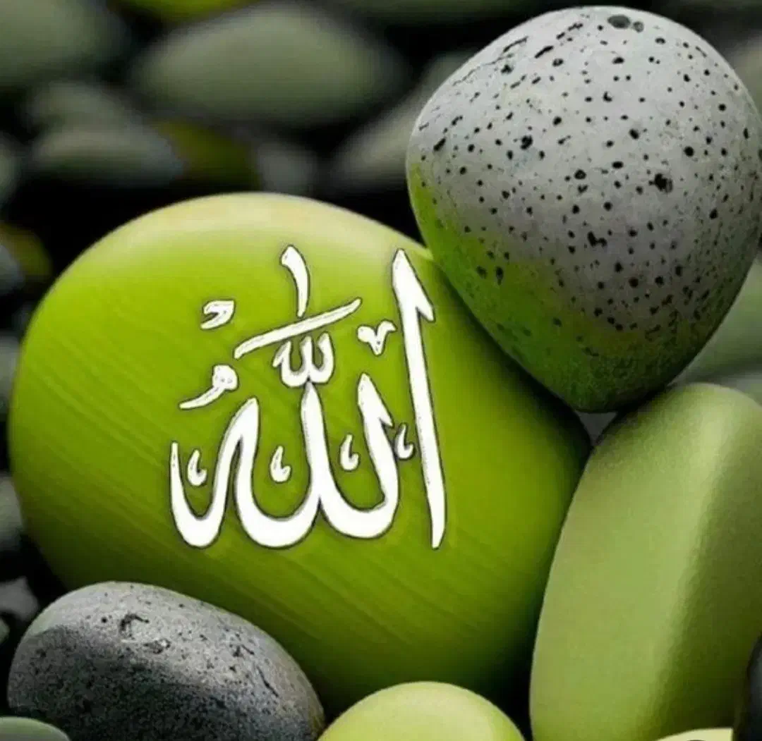 کت کتاب فروشی|کتاب و مجله ادبی|شیراز, شاهچراغ|دیوار