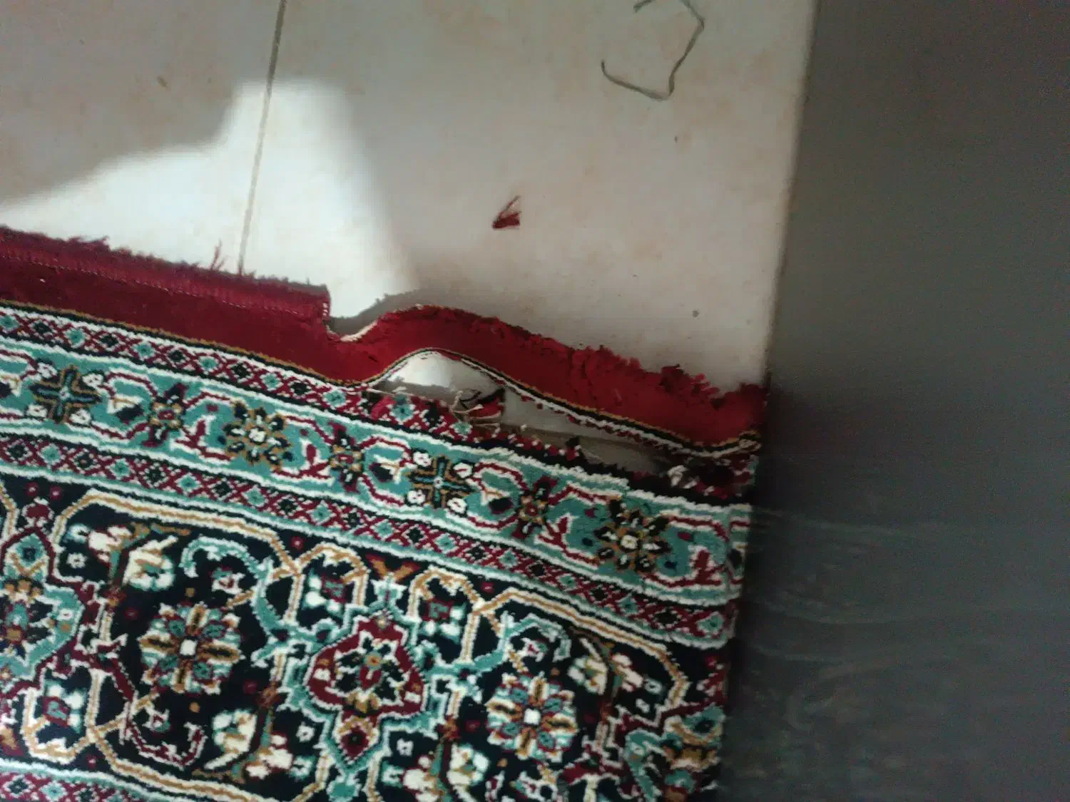 گلیم . فرش|گلیم، جاجیم، گبه|مشهد, گلبرگ شمالی|دیوار