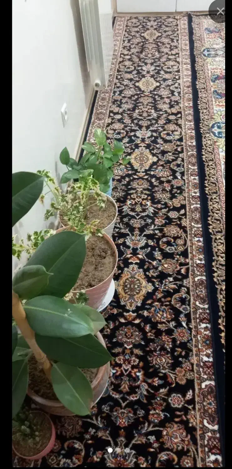 کناره ۳/۵ متری|فرش|ری, سیزده آبان|دیوار