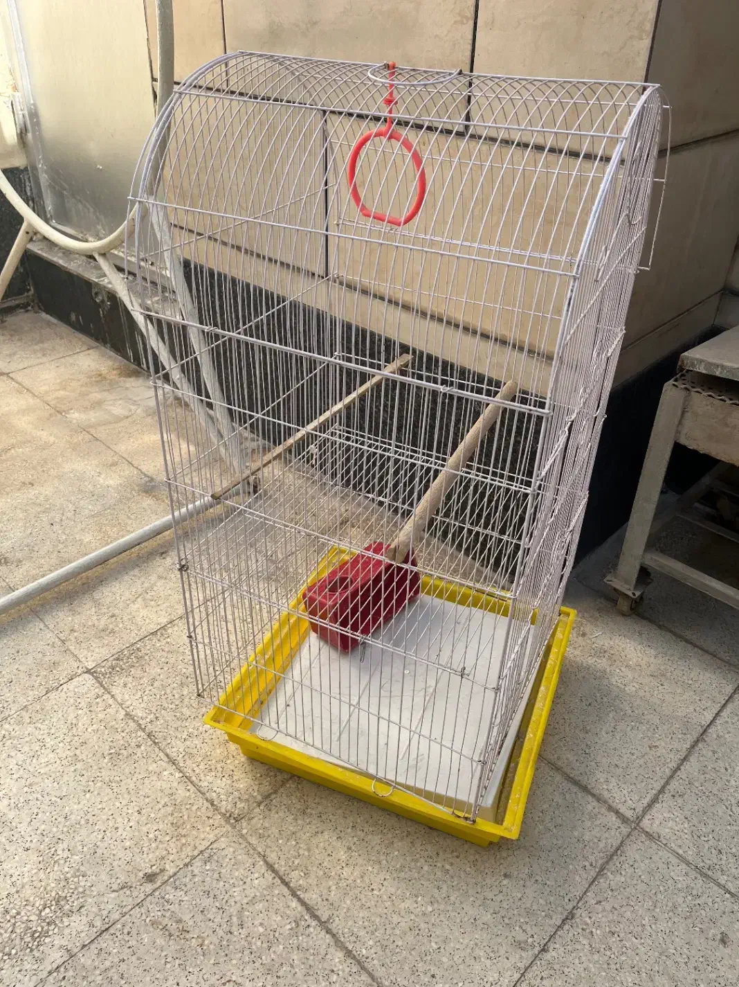 قفس|پرنده|اهواز, فاز ۱ پادادشهر|دیوار