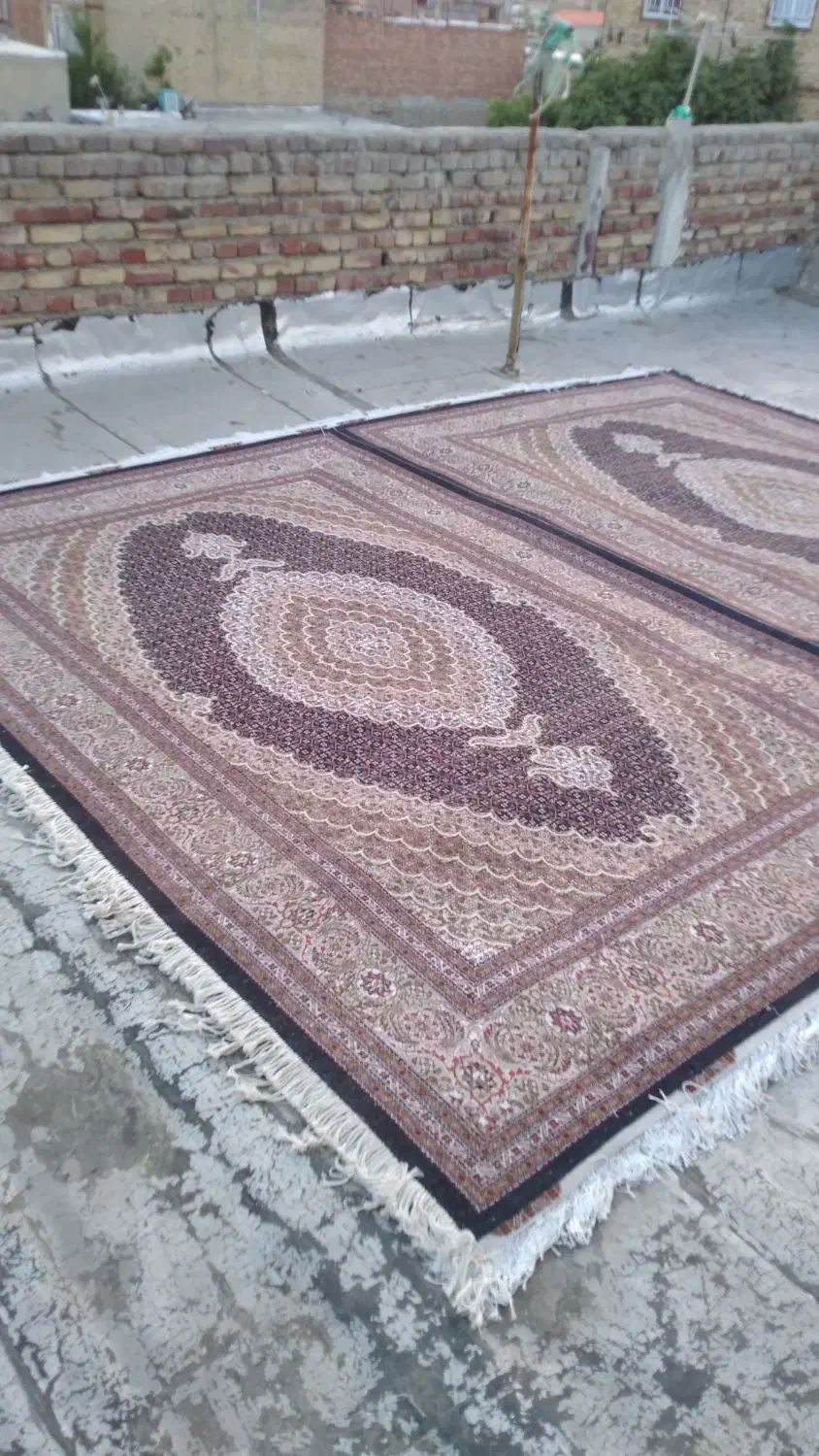 فرش دستبافتماهی 3.5در5|فرش|تبریز, |دیوار