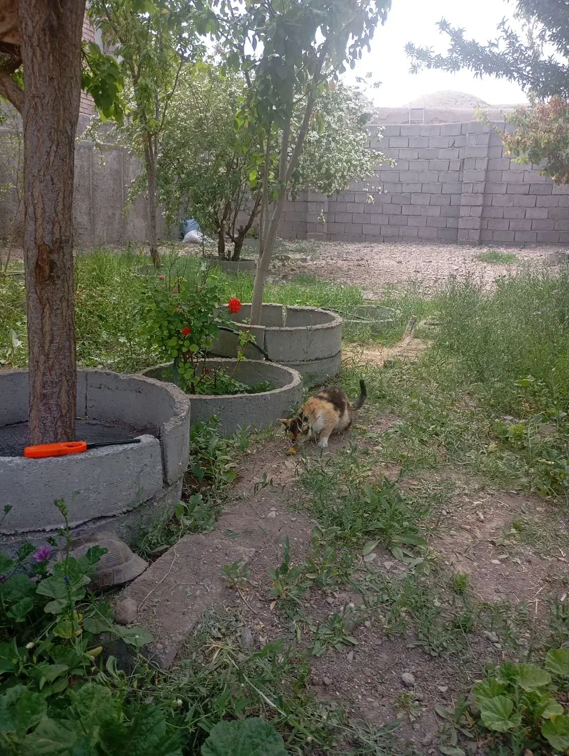 خانه گلزار بردسیر 14 قصب سوییت 80 متری|فروش خانه و ویلا|گلزار, |دیوار