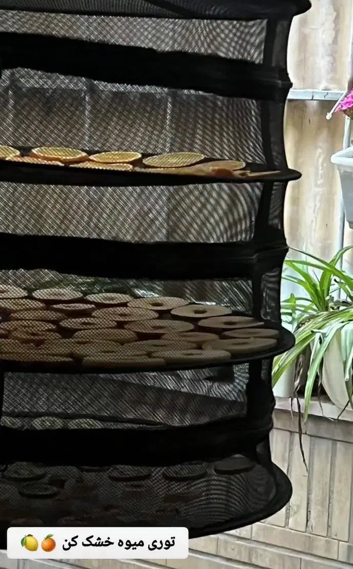 خشک کن میوه و سبزی|سایر لوازم برقی|محمدیه-قزوین, |دیوار