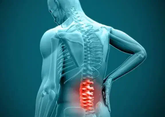 مرحم گیاهی برای گرفتگی کانال نخاع ودیسک کمر ومفاصل|آرایشی، بهداشتی، درمانی|رفسنجان, |دیوار