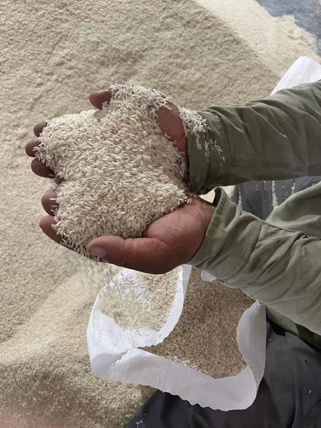 انواعی از برنج با خرید از تولید کننده|خدمات پذیرایی، مراسم|بابل, |دیوار