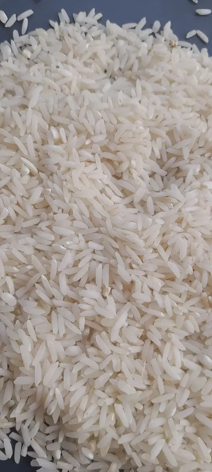 برنج هاشمی درجه یک|خوردنی و آشامیدنی|رشت, تازه آباد|دیوار