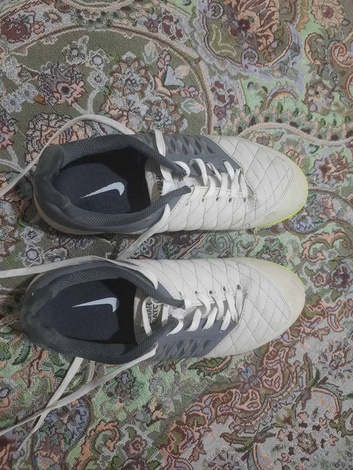 کفش سالنی لونار گتو|کیف، کفش، کمربند|تربت‌حیدریه, منظر|دیوار