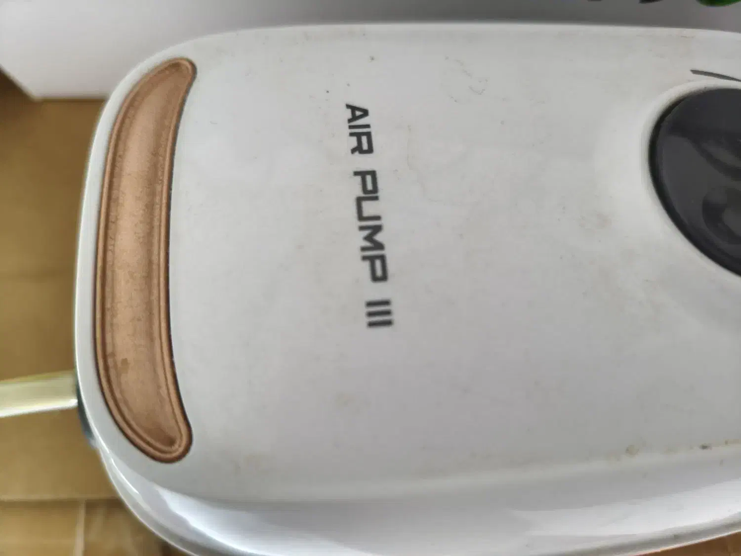 اکواریوم|ماهی|آذرشهر, |دیوار