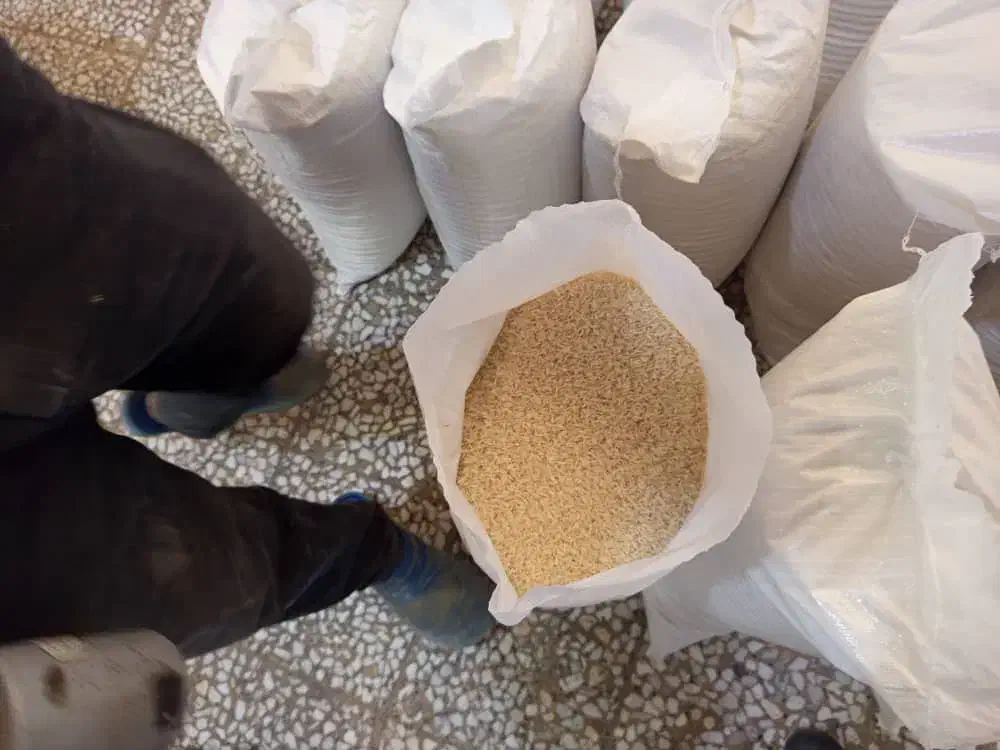 فروش برنج طارم هاشمی دوباره کشت|خوردنی و آشامیدنی|ساری, |دیوار