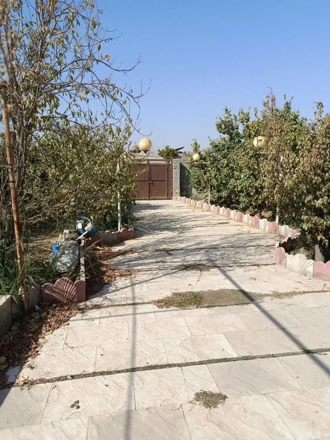 باغ با درخت قدیمی سند دار جیتو تبرئه کشاورزی|فروش خانه و ویلا|پاکدشت, پاکدشت (مامازند)|دیوار