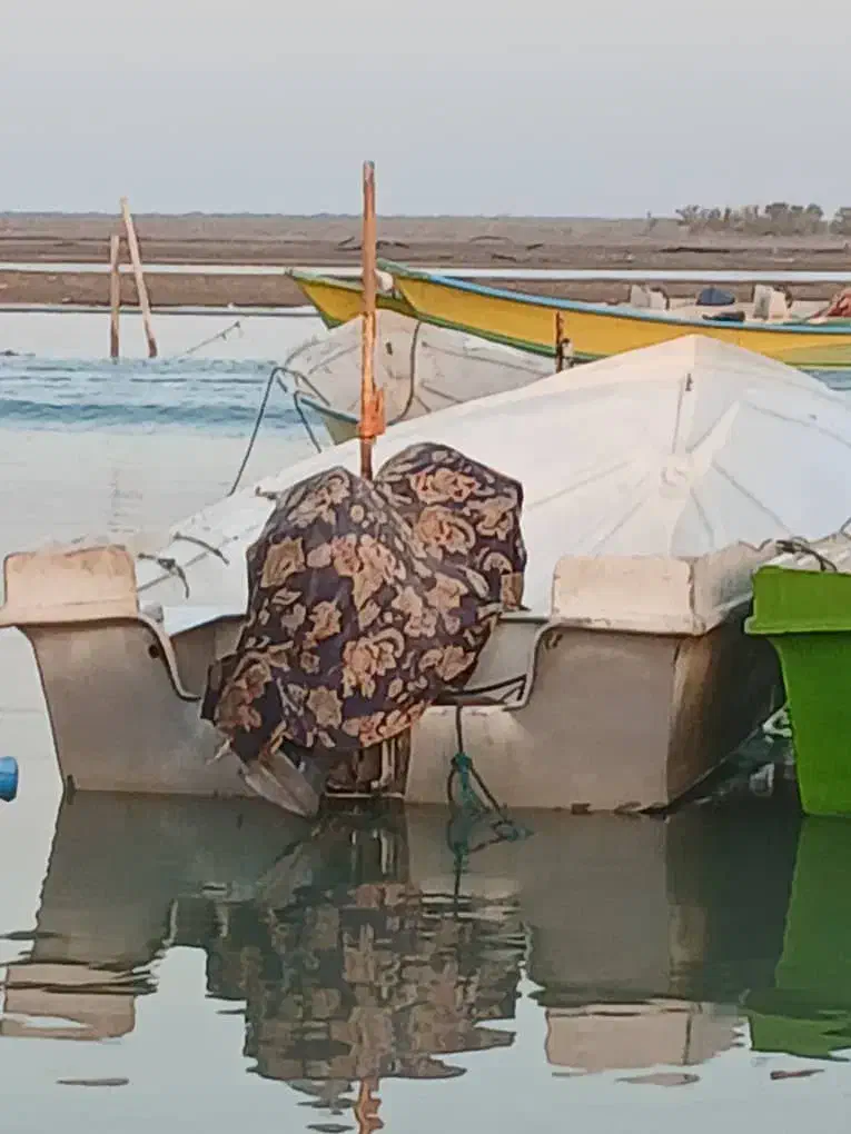 موتور 85|قایق و سایر وسایل نقلیه|میناب, |دیوار