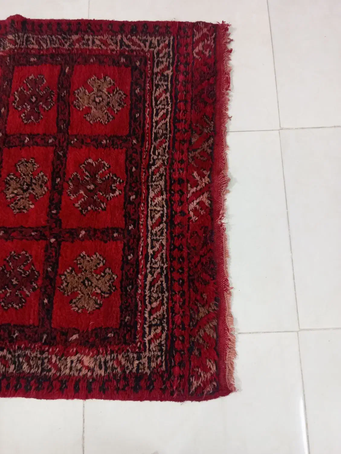 فرش دستباف ۲ متری|فرش|مشهد, طبرسی شمالی|دیوار