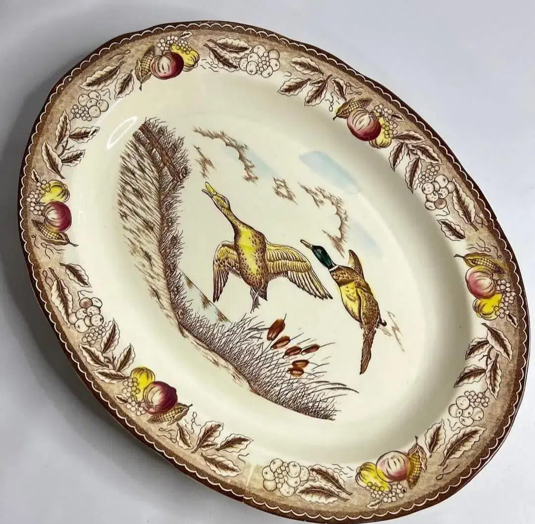 دیس ژاپنی طرح مرغابی|کلکسیون اشیاء عتیقه|تکاب, |دیوار