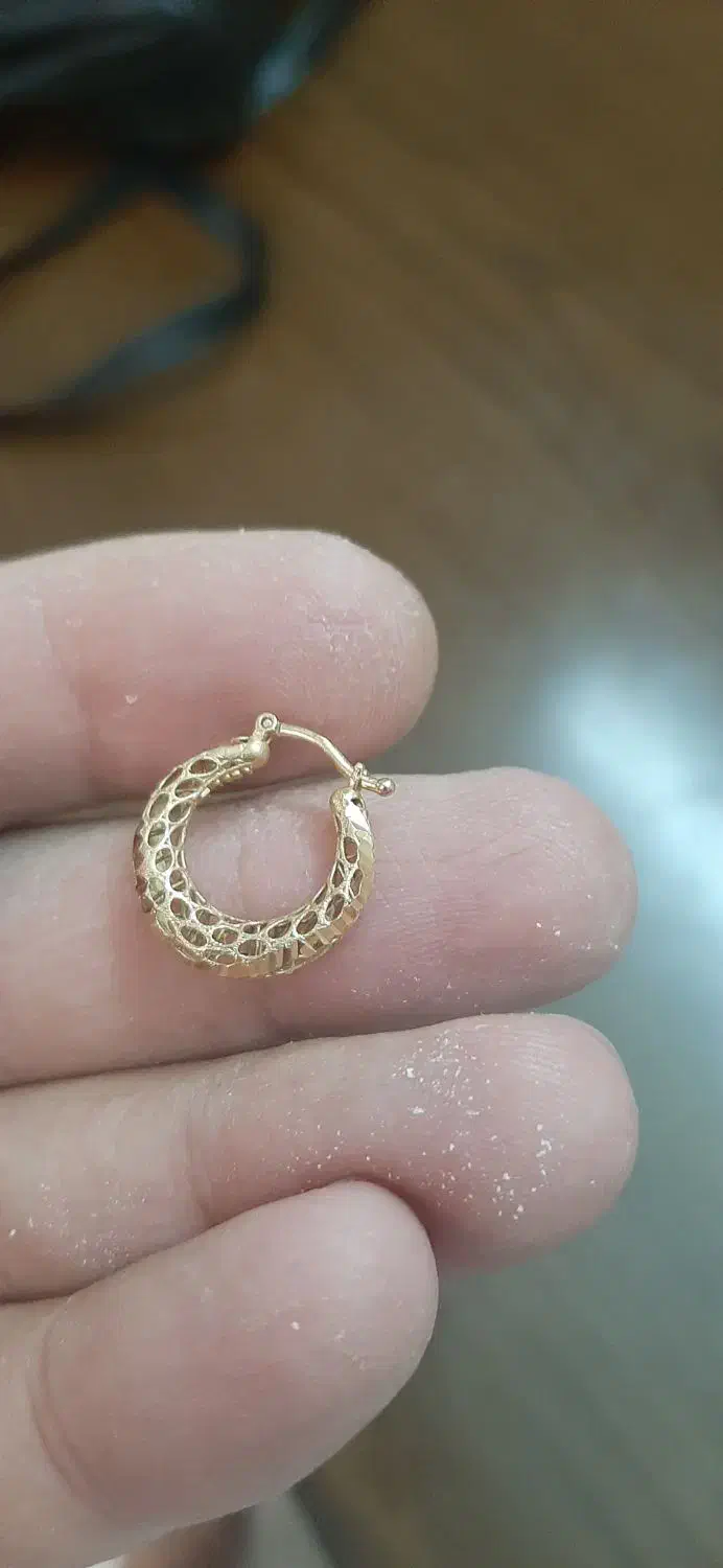 یک لنگه گوشوار گم شده|اشیا|اصفهان, سپاهانشهر|دیوار