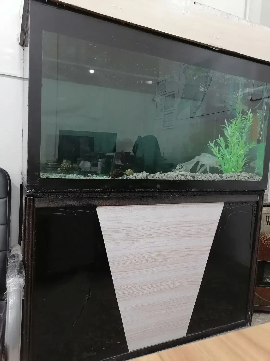 آکواریوم|ماهی|فرخشهر, |دیوار