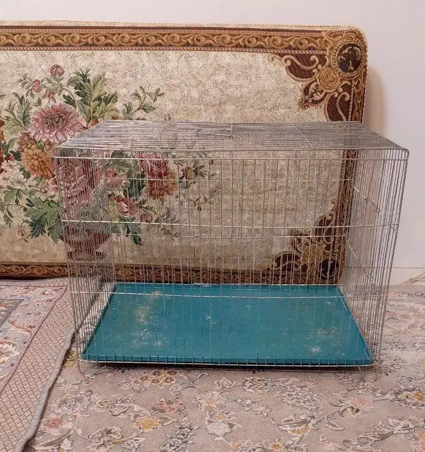 قفس پرنده طوطی سایز بزرگ نو|لوازم جانبی حیوانات|تهران, هفده شهریور|دیوار