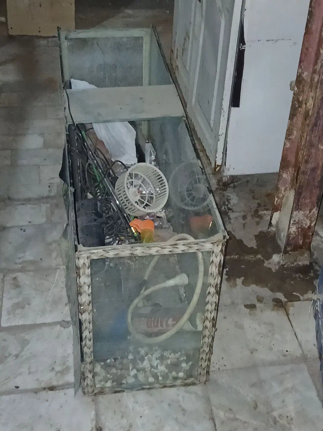 آکواریم با لوازم کامل|ماهی|قم, نیروگاه|دیوار