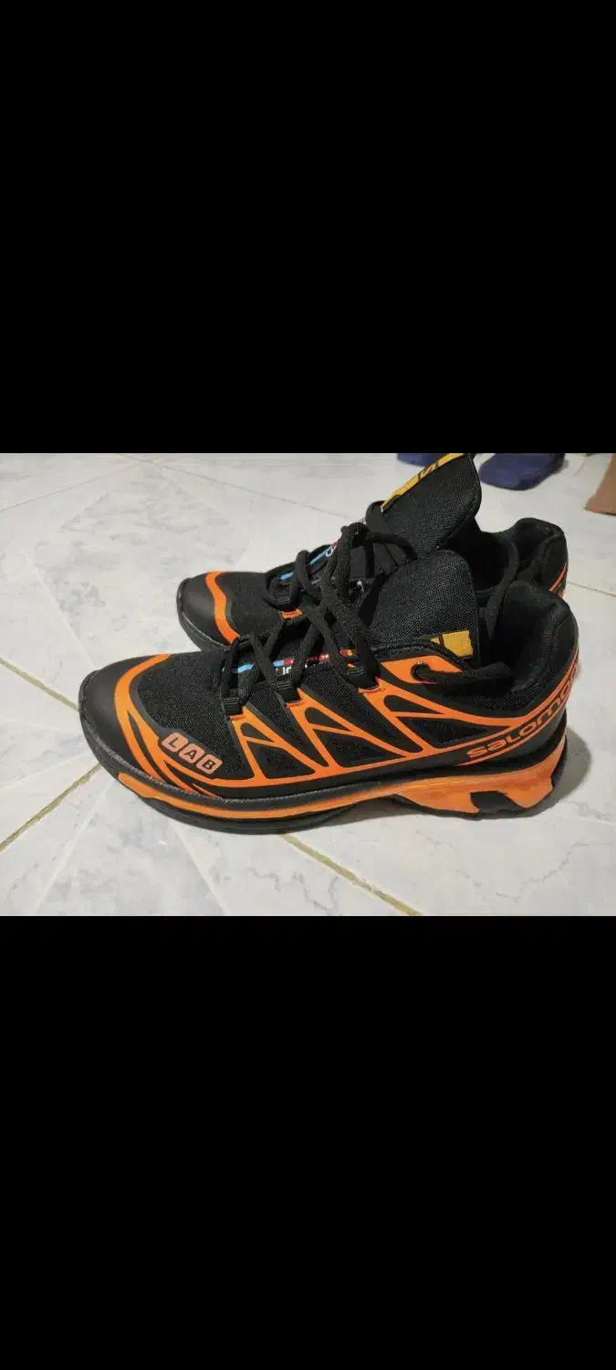 کفش نو|کیف، کفش، کمربند|سنقر, |دیوار