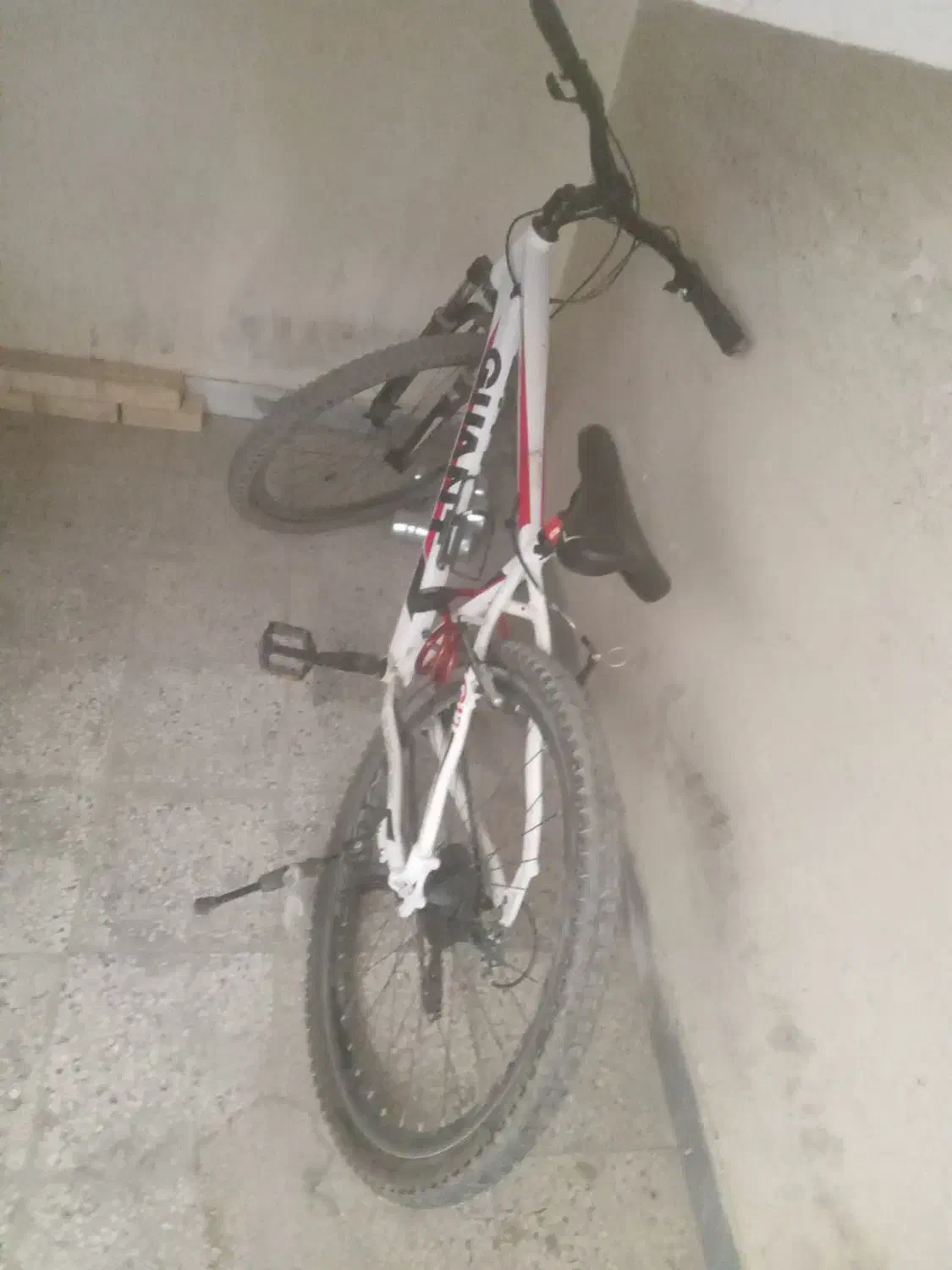 دوچرخه گم شده|اشیا|بهبهان, |دیوار