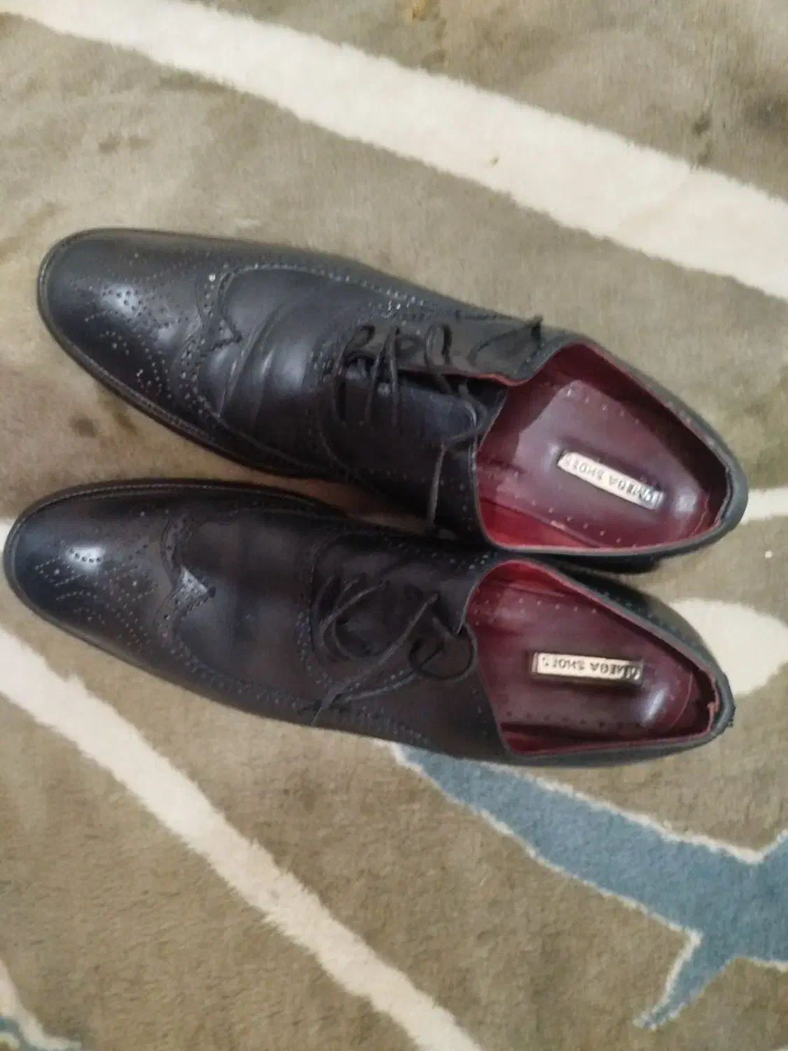 کفش مجلسی تمام چرم ترک سایز۴۴|کیف، کفش، کمربند|زاهدان, |دیوار