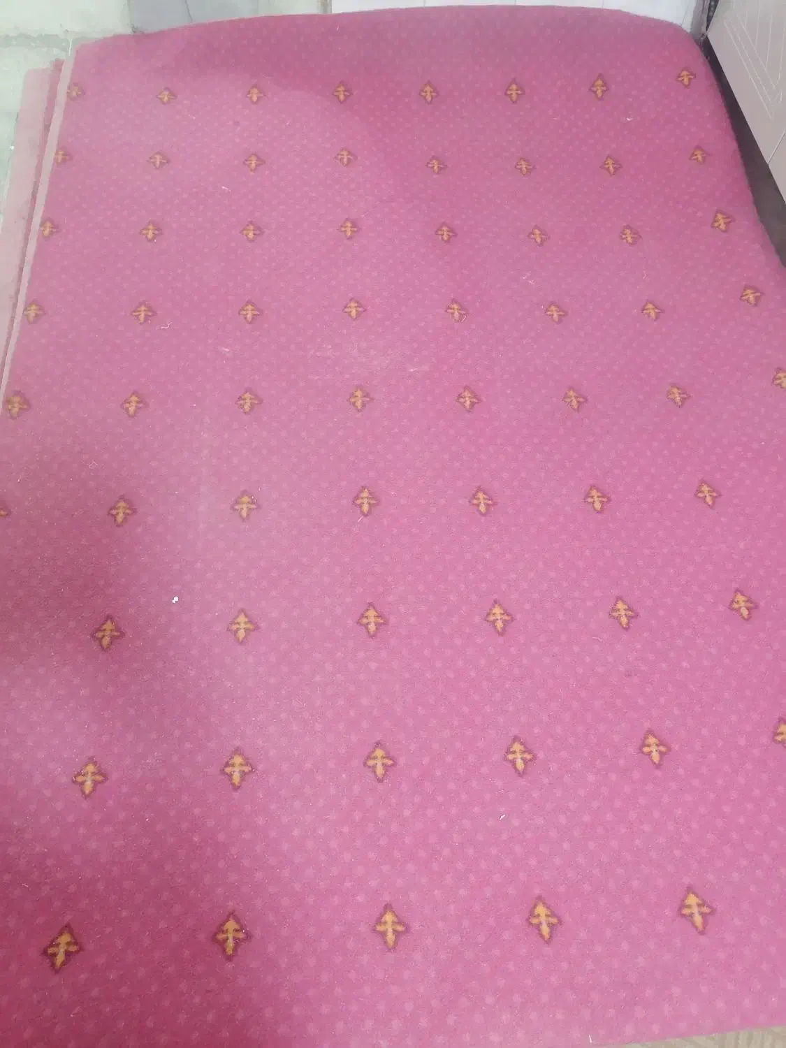 موکت ۱۲متری|موکت|قم, قلعه کامکار|دیوار