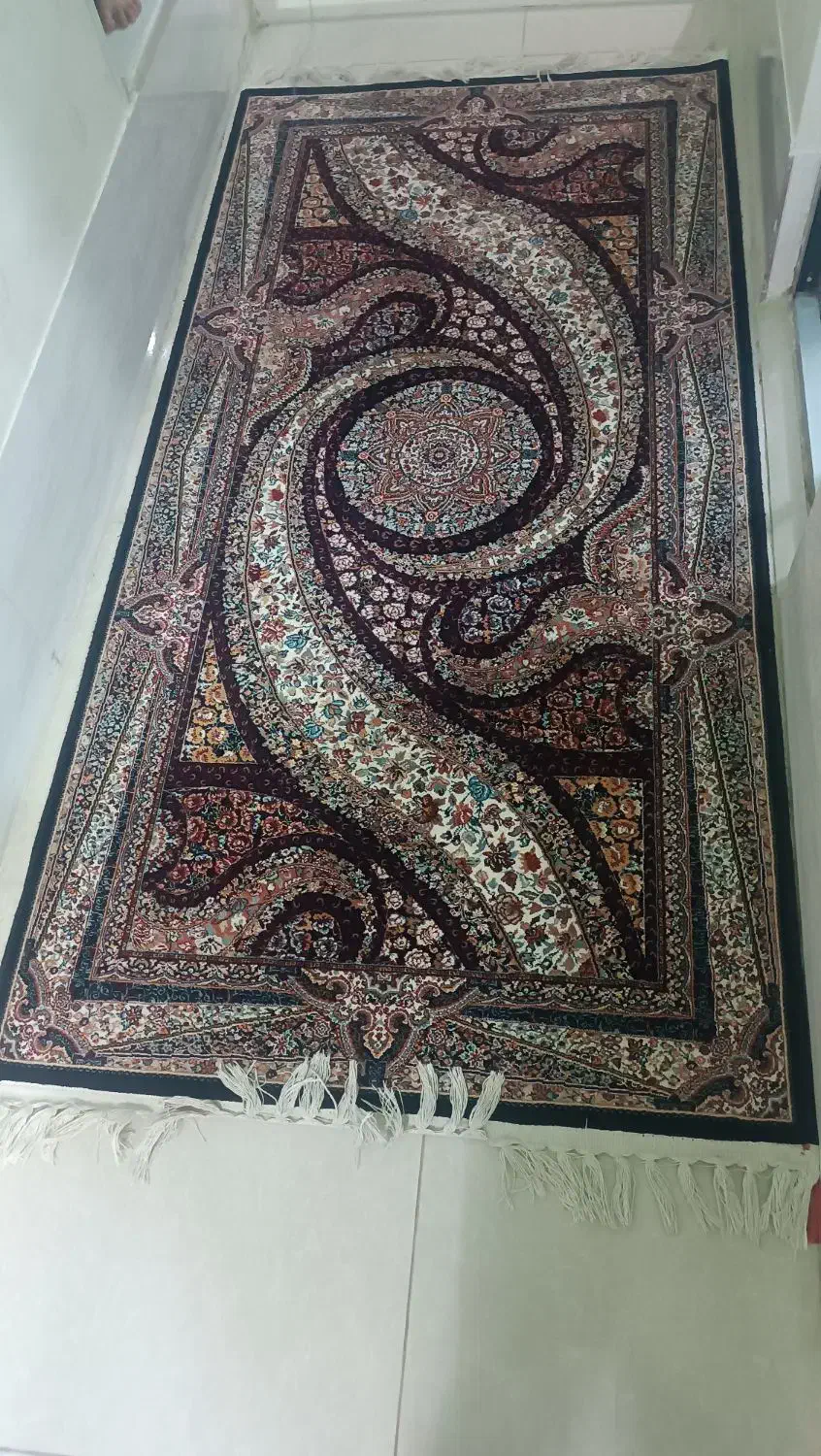فرش|فرش|قم, میدان نو|دیوار