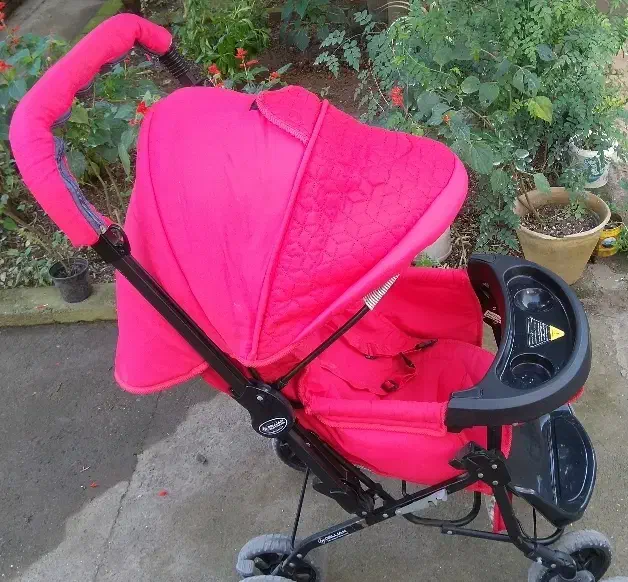 کالسکه دلیجان|کالسکه و لوازم جانبی|بندر انزلی, ساحل قو|دیوار