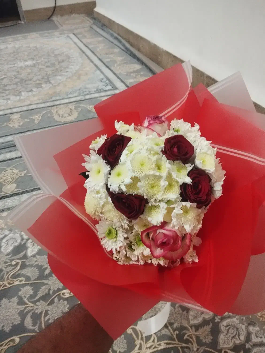 گل .|گل و گیاه طبیعی|زابل, |دیوار