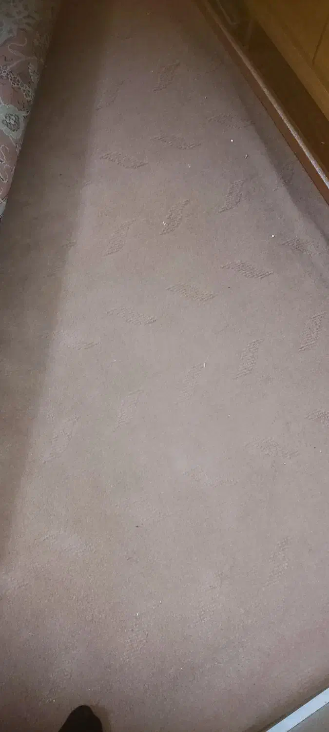 موکت دو عدد سه در چهار|موکت|زنجان, |دیوار