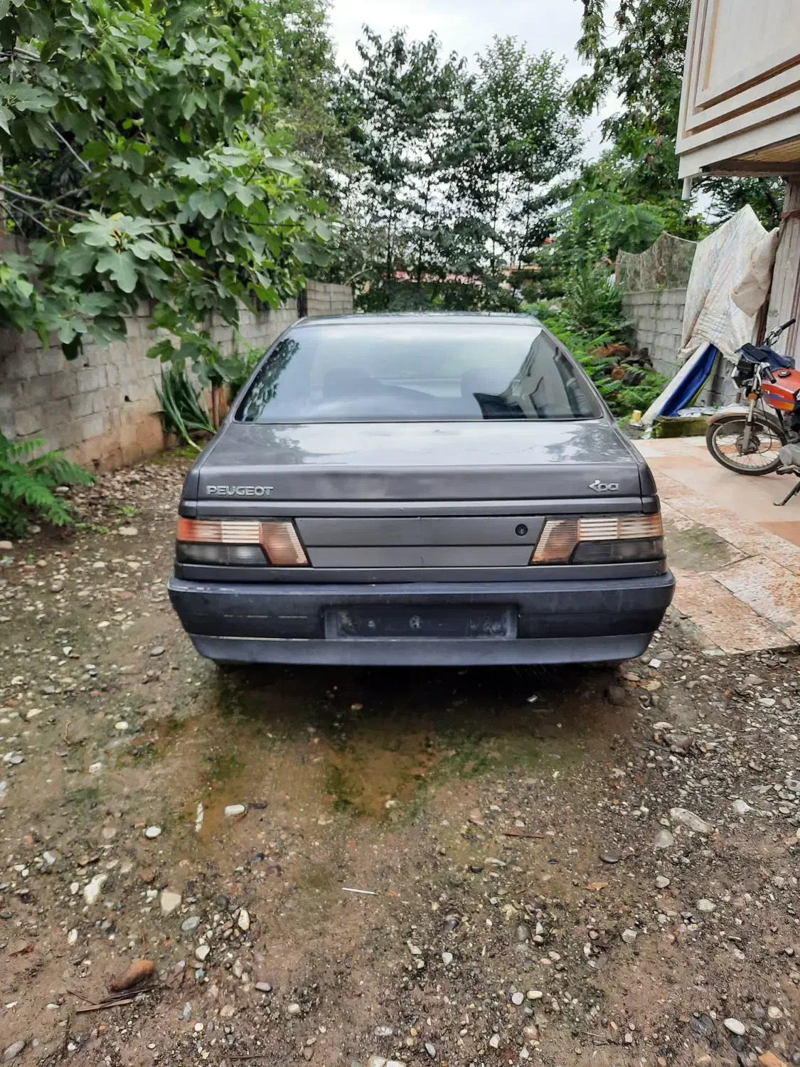 پژو روا مدل ۸۶دوگانه کارخانه درحد|خودرو سواری و وانت|تالش, هشتپر|دیوار