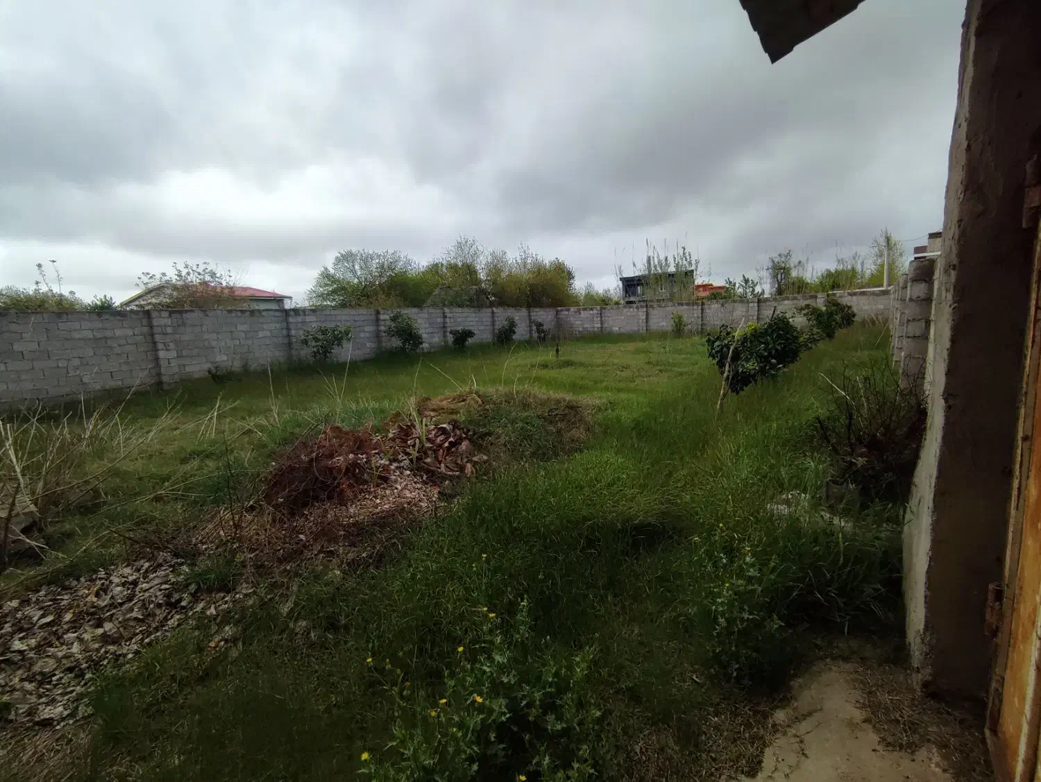 310 متر زمین مسکونی امیر کیاسر کیاشهر، مالک هستم|فروش زمین و ملک کلنگی|کیاشهر, |دیوار