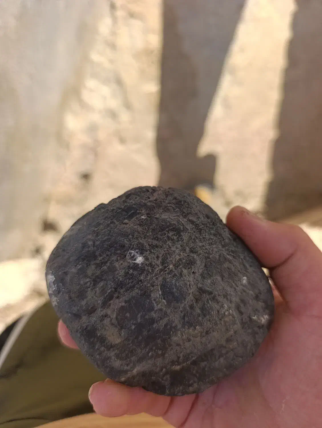 اگر سردرمیارین میشه بگین چه سنگیه|کلکسیون اشیاء عتیقه|گنبد کاووس, |دیوار