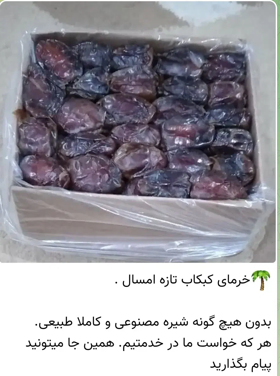 خرمای کبکاب برای فروش از استان بوشهر|خوردنی و آشامیدنی|شیراز, شاهچراغ|دیوار