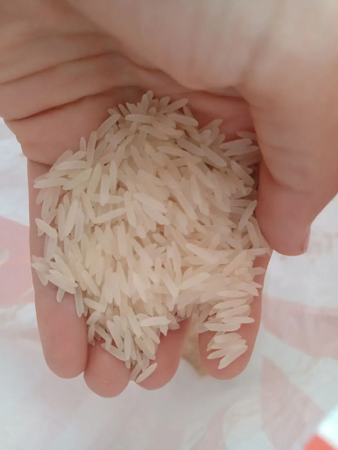 برنج هندی|حراج|پرند, فاز ۴|دیوار