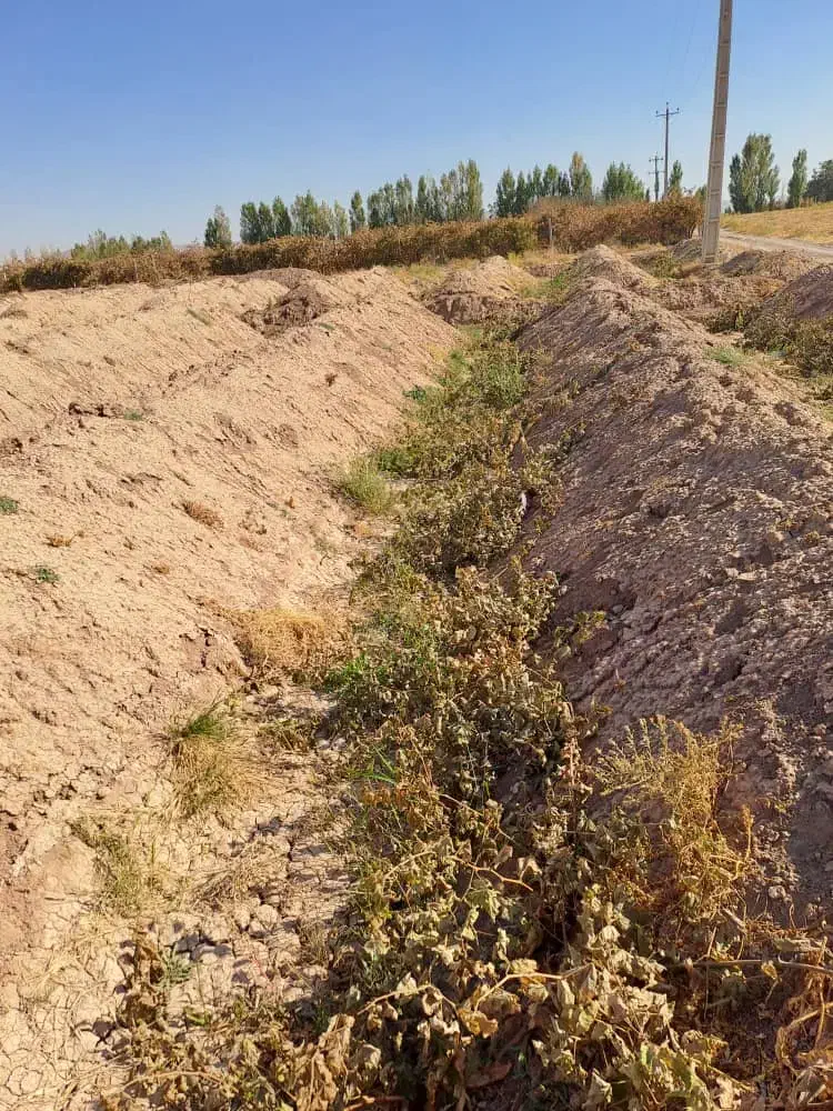 باغ انگور|فروش دفتر صنعتی، کشاورزی، تجاری|باروق, |دیوار