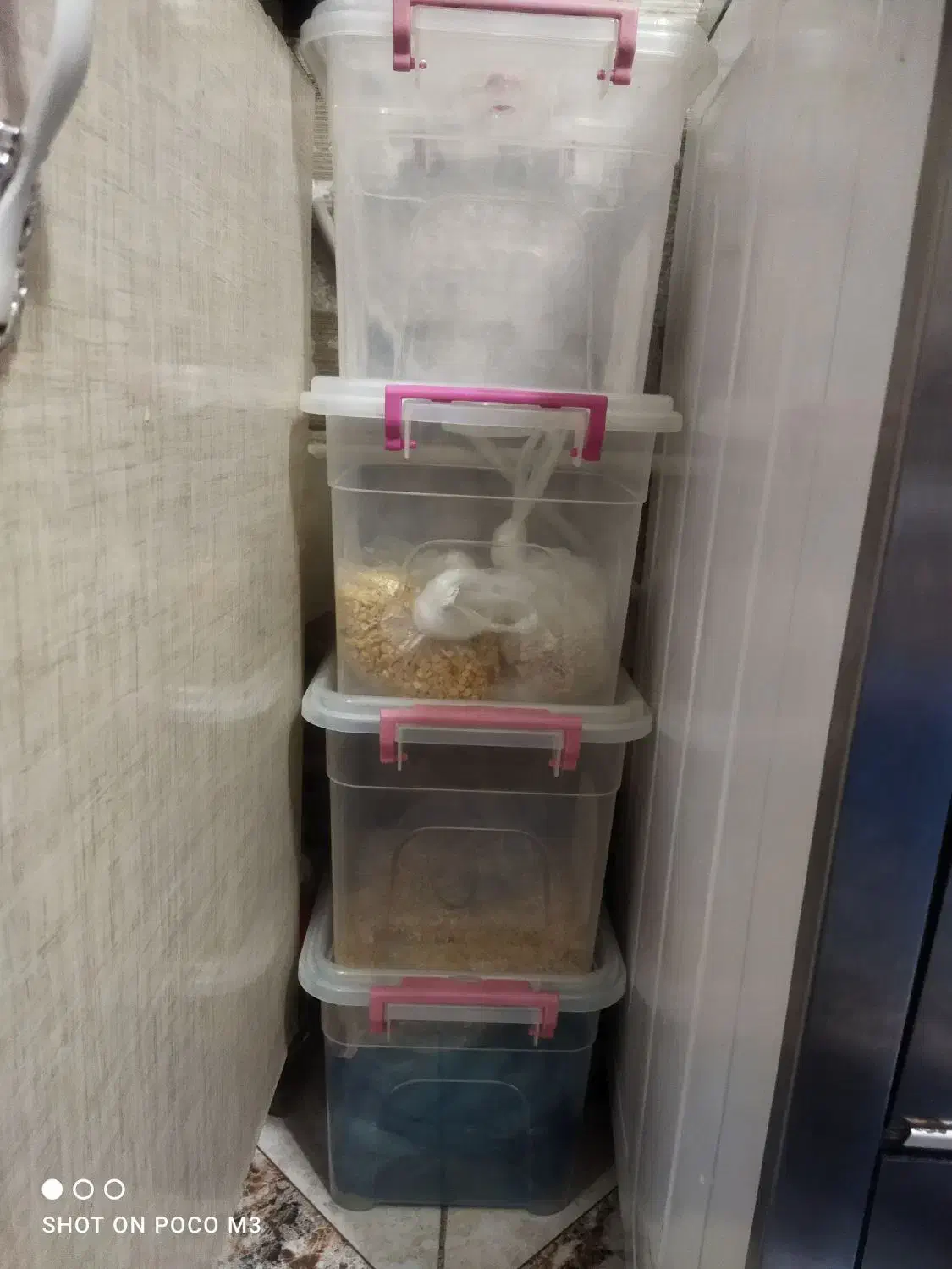 جا حبوباتی|ظروف نگهدارنده، پلاستیکی، یک‌بارمصرف|ارومیه, |دیوار