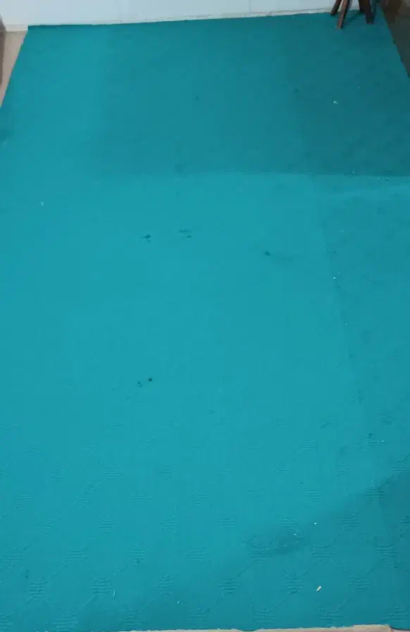 موکت|موکت|اقبالیه, |دیوار